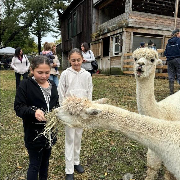 Meet your Posher, Stephanie - Picture 15 of 17